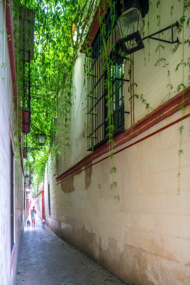 The Jewish Quarter of Seville